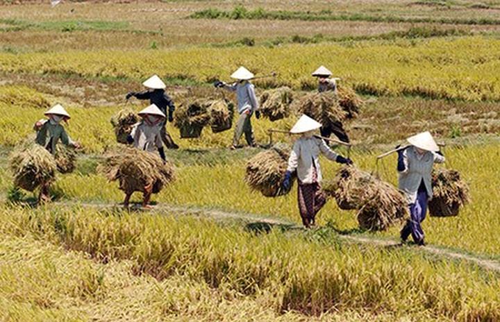 Hotspot Matrix: Biến Sao nam Thiên Long Bát Bộ tụt thành cơ hội marketing đột phá